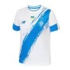New Balance DYNAMO KIEW Trikot Home Herren 22 / 23